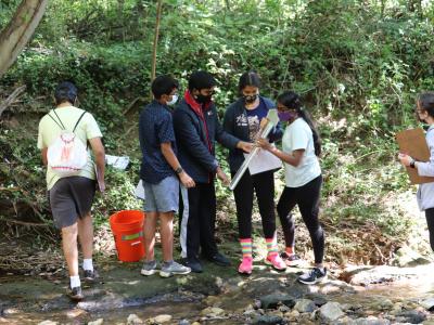TJ students looking at stream health at Indian River stream